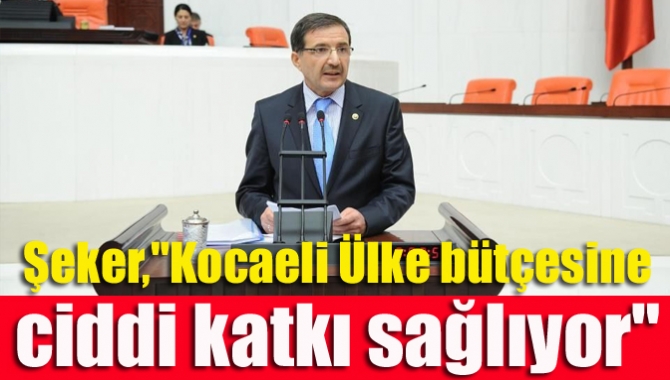 TBMM Bayındırlık, İmar, Ulaştırma ve Turizm Komisyonu Üyesi İlyas Şeker,