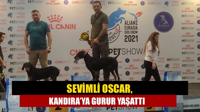 Kandıralı Metin Yaşa’nın Oscar isimli köpeği, “ALLIANZ Turkey - AVKIF