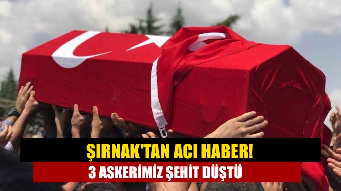 Şırnak'ta, Bestler Dereler bölgesinde dün başlatılan operasyonda, arazi araması esnasında