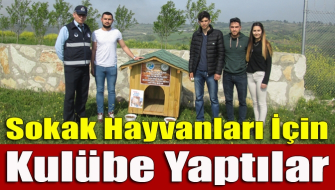 Sokak hayvanlarının rehabilite edilerek bakımlarının yapılmasını sağlayan Kandıra Belediyesi Zabıta