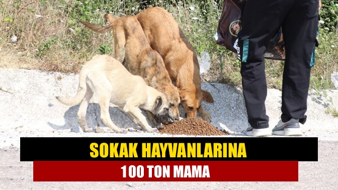 Kocaeli Büyükşehir Belediyesi il genelindeki kırsal noktalarda yiyecek bulmakta zorlanan