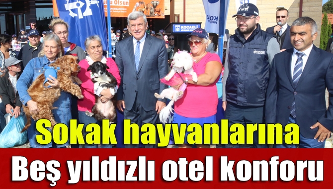 4 Ekim Dünya Hayvanları Koruma Günü bir dizi etkinliklerle kutlandı.