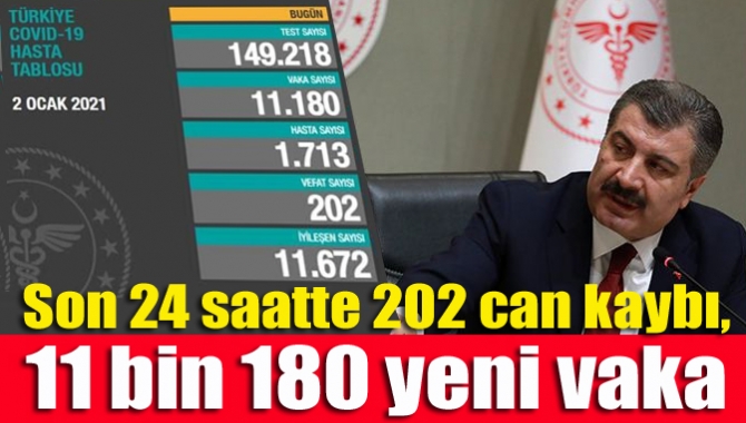 Türkiye'de son 24 saatte 149 bin 218 yeni tip koronavirüs