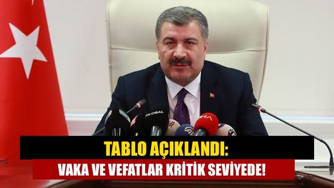 Türkiye'de son 24 saatte 62 bin 606 kişinin testi pozitif