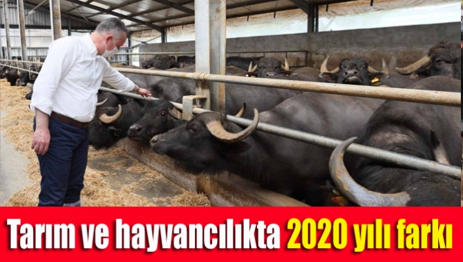 Kocaeli Büyükşehir Belediyesi, tarım ve hayvancılıkta gerçekleştirdiği kalkınma hamlesini 2020