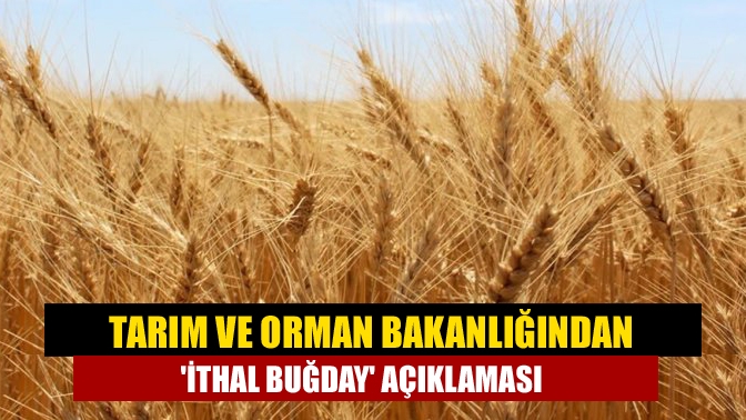 Tarım ve Orman Bakanlığı, Hindistan'dan buğday ithal edildiğine dair haberlerin