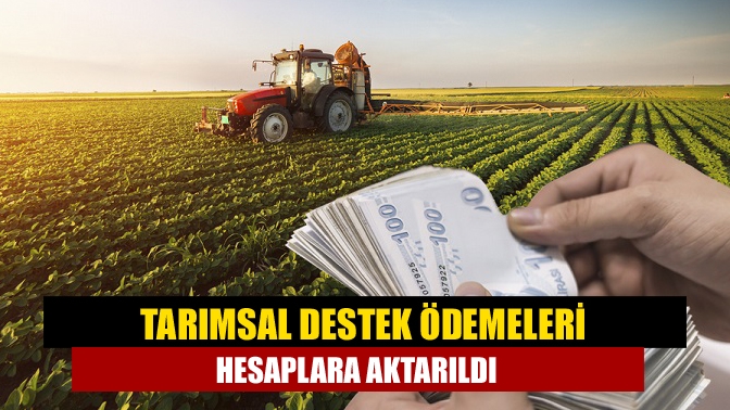 Tarım ve Orman Bakanı İbrahim Yumaklı, tarımsal destek ödemelerinin çiftçilerin