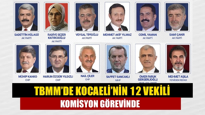 TBMM’de yeni dönem komisyon üyeliklerinin seçimi tamamlandı. Kocaeli’nin 14 milletvekilinden