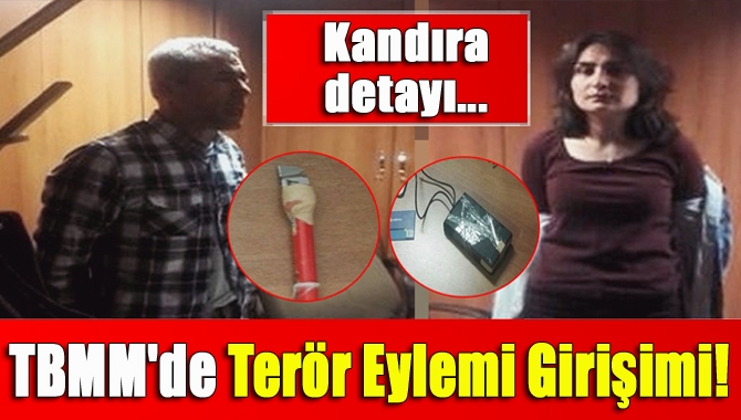 2 DHKP-C'li terörist, TBMM'ye girmeye çalışırken düzenekle yakalandı. Teröristler, Meclis