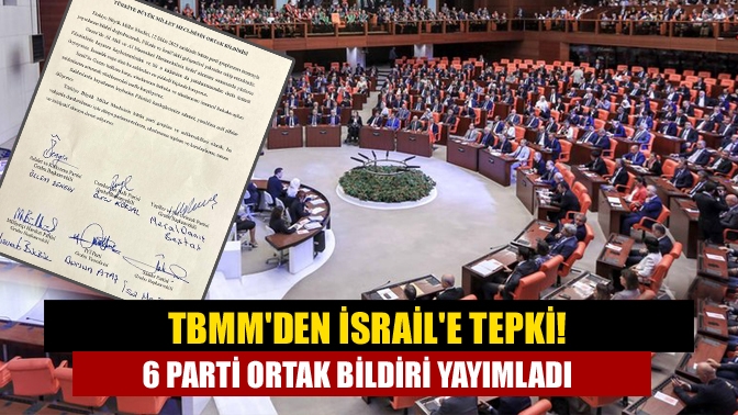 Türkiye Büyük Millet Meclisi (TBMM) Genel Kurulu'nda 6 siyasi parti