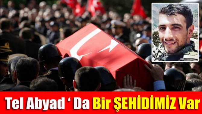 Tel Abyad'da PKK/YPG'li teröristler tarafından açılan ateş sonucu 1 asker