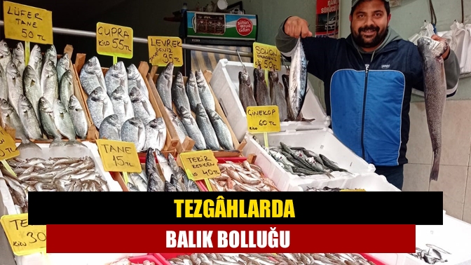 Kandıra’da balık tezgâhları şenlendi. Havaların soğumasıyla birlikte tezgâhlardaki balık çeşitliliği