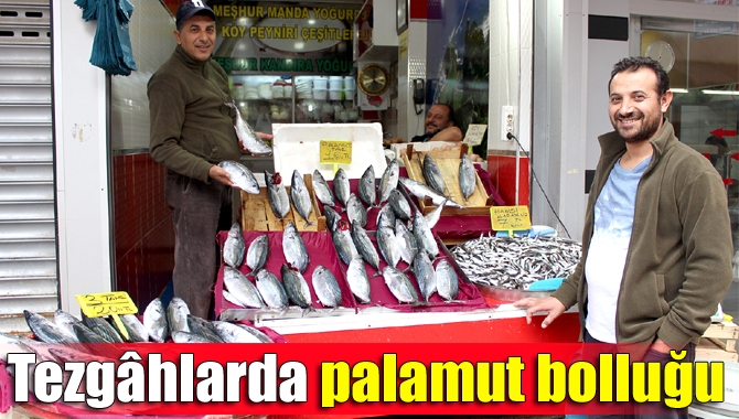 Bu yıl Karadeniz’de yaşanan palamut bolluğu nedeni ile tezgahlar adeta