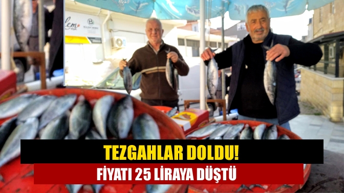 Kandıra’da balık tezgahları palamut ile doldu. Tanesi 40 ile 50