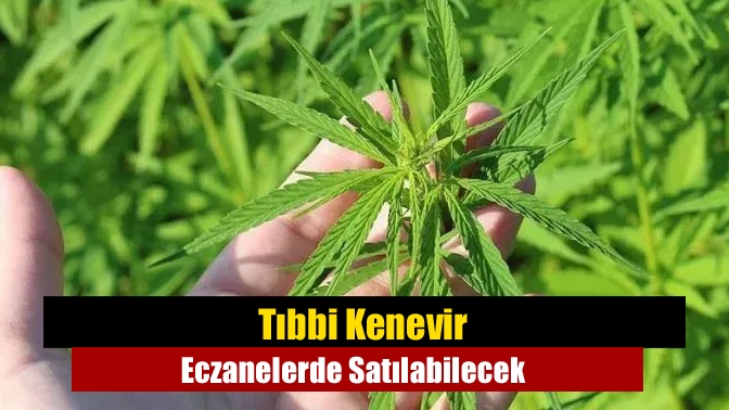 Tıbbi Kenevir Eczanelerde Satılabilecek TBMM’de kabul edilen teklifle tıbbi kenevir ürünlerinin yalnızca eczanelerde satılmasının