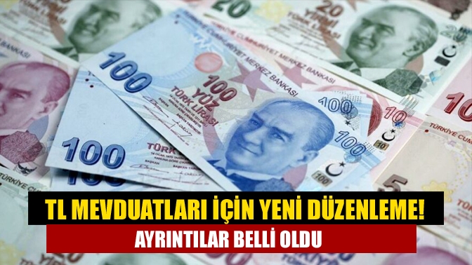 Hazine ve Maliye Bakanlığı, dövize endeksli Türk lirası mevduatları ile