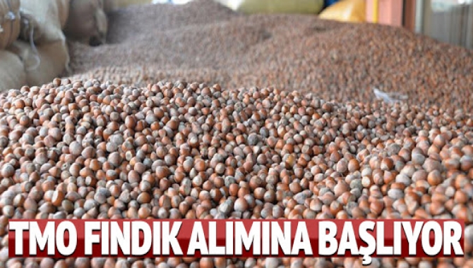 Fındık Tarım Satış Kooperatifleri Birliği fındık üretimi yapılan tüm bölgelerde
