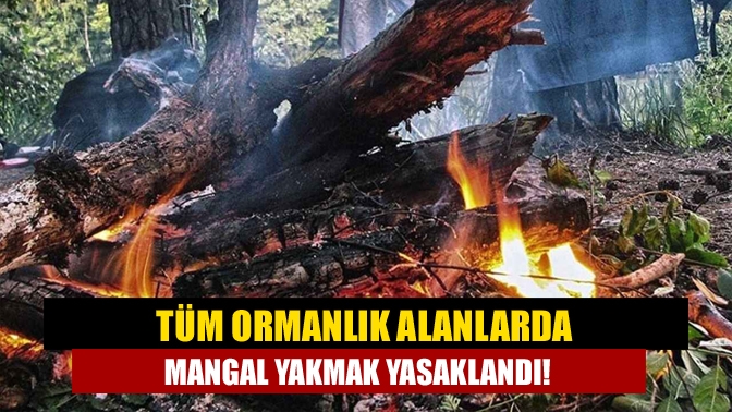 Kocaeli Valisi Seddar Yavuz, orman yangılarının önlenmesi amacıyla 1 Haziran