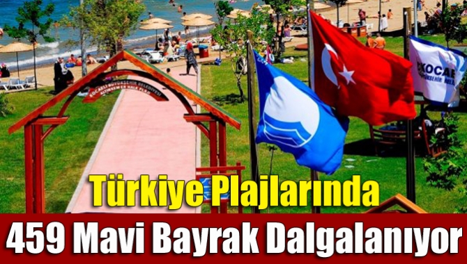 Adalar dahil 8 bin 333 kilometre kıyı şeridine sahip Türkiye'de,