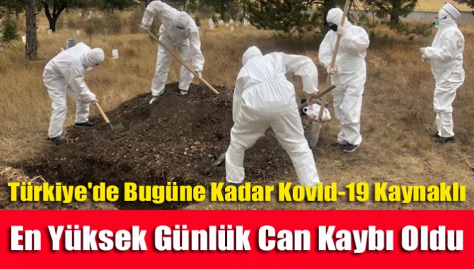 Türkiye'de son 24 saatte 206 bin 102 Kovid-19 testi yapıldı,