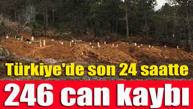 Türkiye'de son 24 saatte 205 bin 809 Kovid-19 testi yapıldı,
