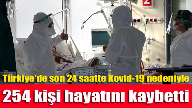Türkiye'de son 24 saatte 195 bin 675 Kovid-19 testi yapıldı,