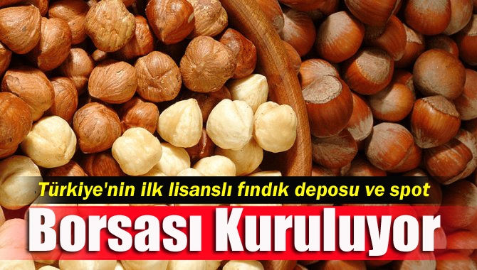 Türkiye'nin ilk lisanslı fındık deposu ve spot borsası Giresun'da hayata