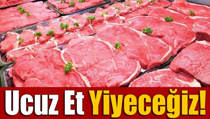 Gıda Bakanlığı artan et fiyatlarına el attı. Gıda Bakanlığı; canlı