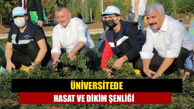 Büyükşehir Belediyesi tarafından başlatılan Tıbbi ve Aromatik Bitkiler Projesi kapsamında