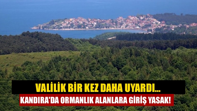 Kocaeli'de ormanlık alanlara girişler, 31 Ağustos'a kadar yasaklandı.