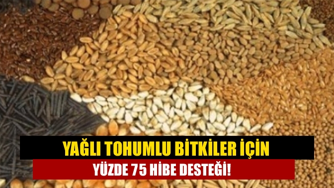 Boş bırakılan, atıl durumda olan veya nadasa bırakılan arazilerde hububat,