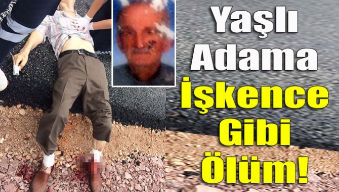 İzmit'te 79 yaşındaki Bahri Bilgel, ayak bileklerinde bıçak yarası olduğu