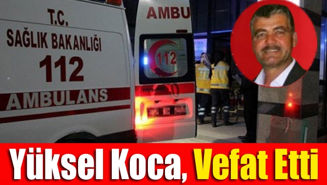 Kandıra Yağlı Tohumlar Tarım Satış Kooperatifinden emekli Yüksel Koca (55),