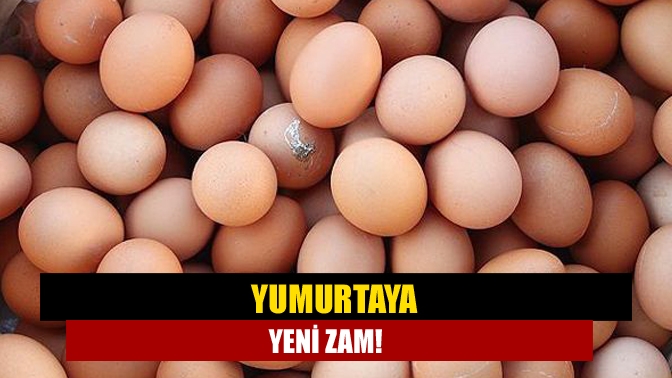 Ekim ayı itibariyle yumurtanın tanesi 2 lira 53 kuruşa yükseldi