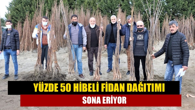 Kocaeli Büyükşehir Belediyesi’nin "Meyveciliği Geliştirme Projesi" kapsamında üreticiler, fidanlarını 4