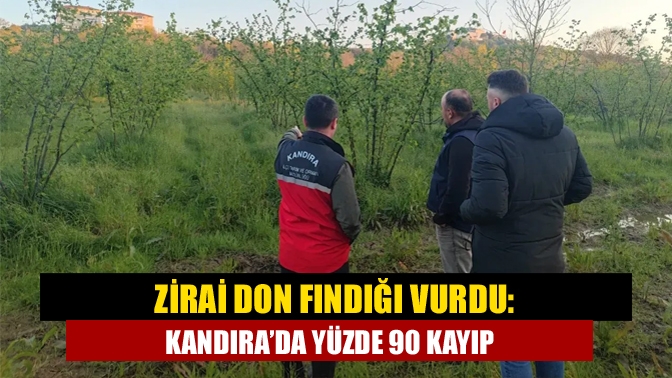 Kandıra’da etkili olan zirai don, fındık bahçelerinde büyük zarara yol