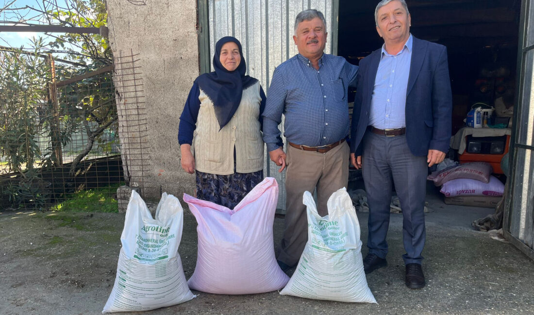 Kandıra Belediyesi, ata tohumu beyaz buğday üretimini yaygınlaştırmak amacıyla çiftçilere