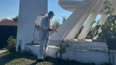 Kandıra Belediyesi ile Tarım Müdürlüğü ekipleri, fındık üreticilerinin baş belası