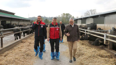 Kocaeli Tarım ve Orman İl Müdürü Ali Ulvi Özerdem, Kandıra’da
