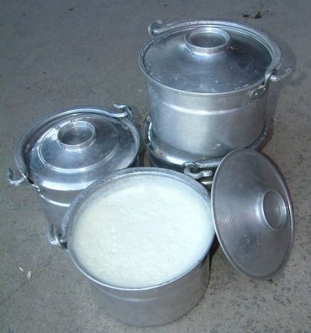 Kandıra’nın tescilli lezzeti olan Kandıra Yoğurdu, manda sütüyle elde edilen