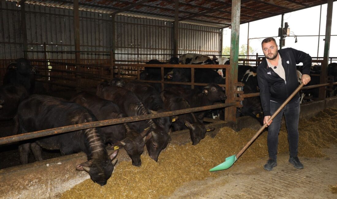Kocaeli Büyükşehir Belediyesi’nin “Halk Elinde Anadolu Mandasının Islahı Projesi” ile