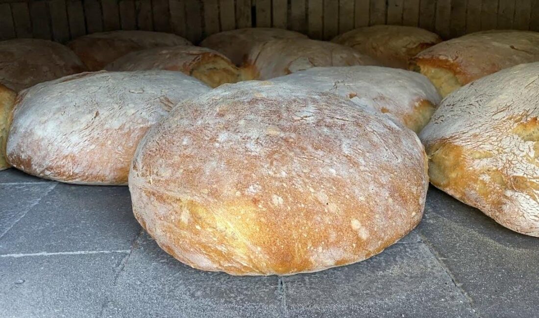 Kandıra Gazze Platformu’nun Şehit Ümit Balkan Parkı’ndaki Hayır Çarşısı, 22