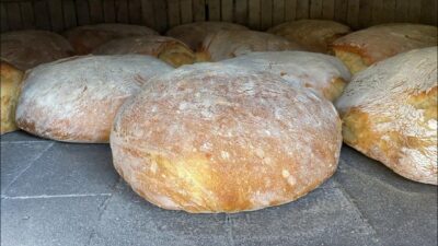 Kandıra Gazze Platformu’nun Şehit Ümit Balkan Parkı’ndaki Hayır Çarşısı, 22