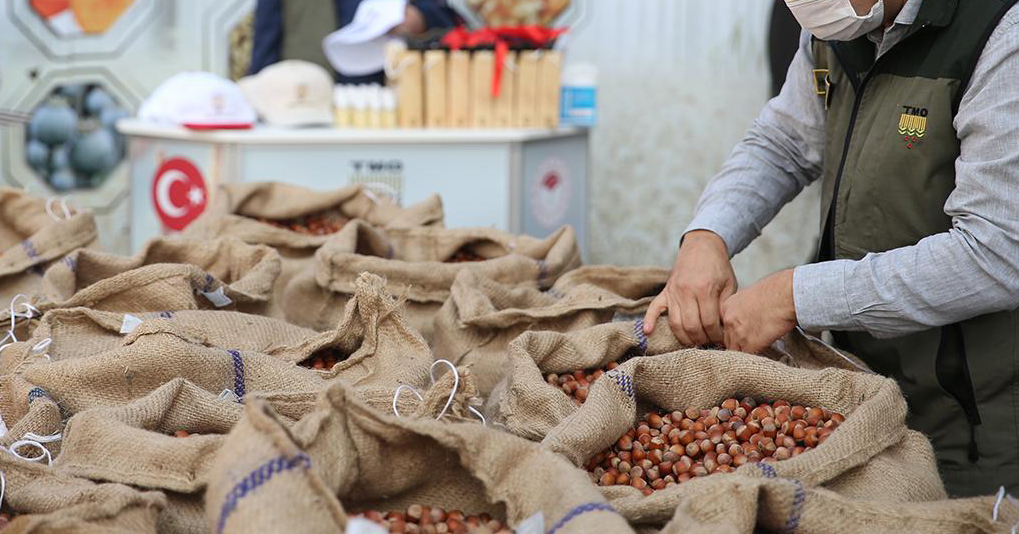 Kandıra’da fındık fiyatları ekim ayından itibaren düşüşe geçerek 260–270 TL