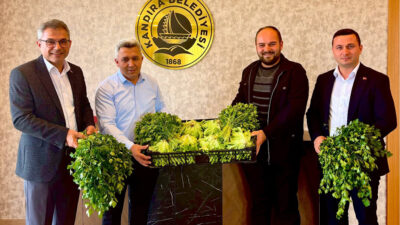 Kandıra Belediyesi’ne ait serada yılın üçüncü ekim dönemine ait ürünler