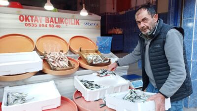 Kandıra Çarşı Mahallesi Türk Ocağı Caddesi’nde hizmet veren Oktay Balıkçılık,