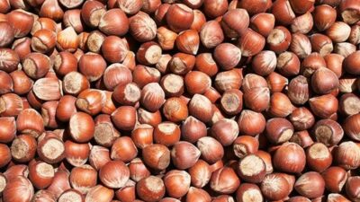 2025’in son aylarında sert düşüş yaşayan fındık fiyatları, 2026’nın ilk