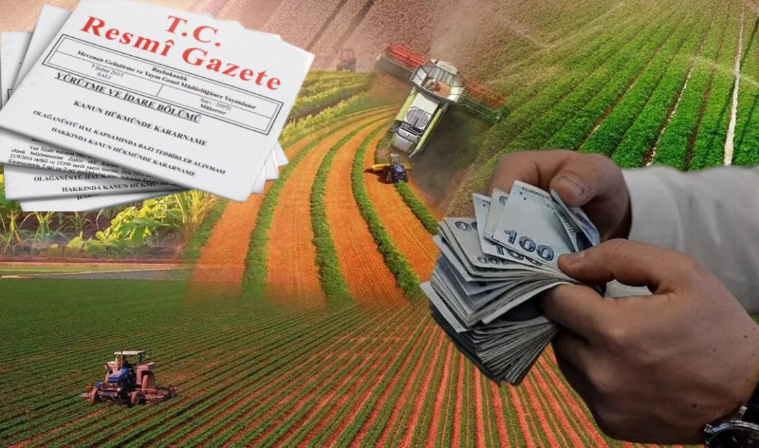 Hazine destekli tarım ve esnaf kredilerinde vergi ve SGK borcu