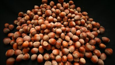 Don ve kuraklık nedeniyle fındık rekoltesi düşmesine rağmen fiyatların 330