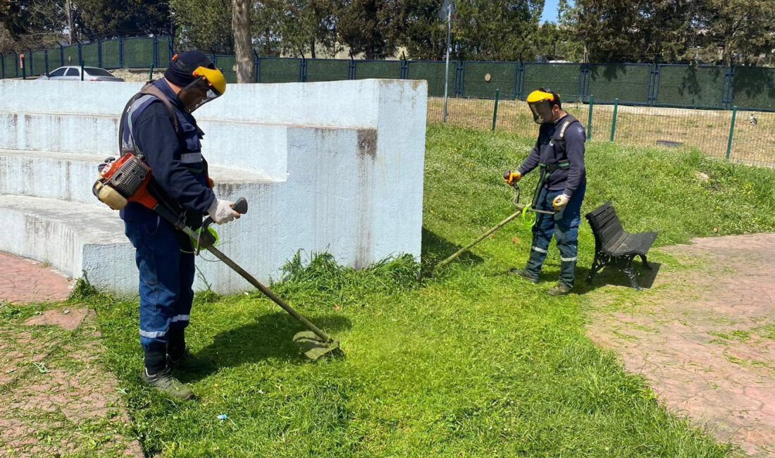 Kandıra Belediyesi ekipleri, ilçe genelinde ot biçme ve ilaçlama çalışmalarına